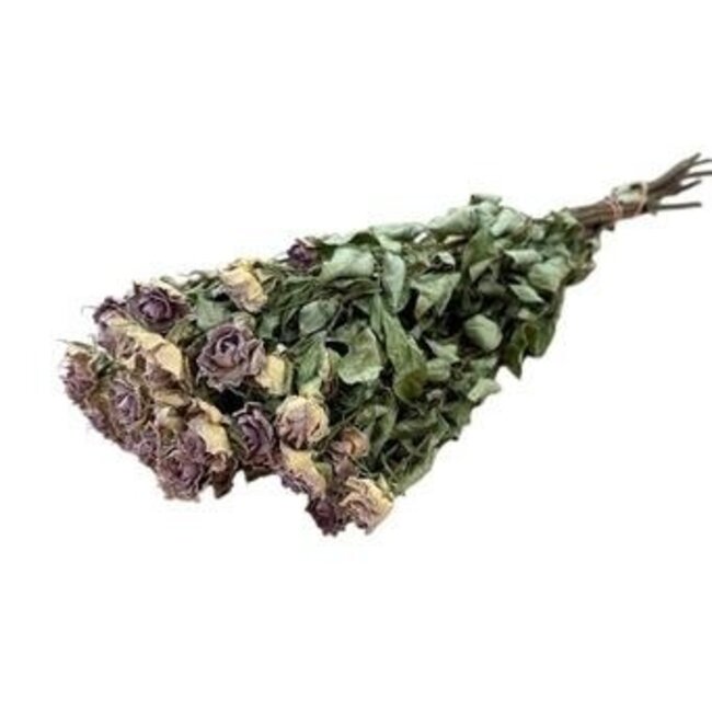 Lavendel-graue getrocknete Büschelrosen | Spray Rose Trockenblumen | Länge ± 50 Zentimeter | Pro 10 Rosen
