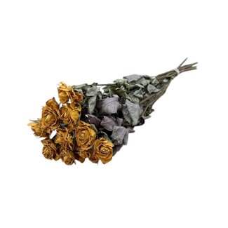 DriedRoses.com Gelb-orange getrocknete Rosen | Länge ± 50 Zentimeter | Pro 10 Rosen