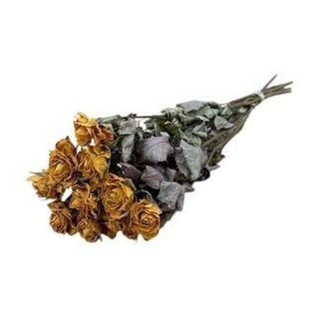 Roses séchées jaune-orange | Longueur ± 50 centimètres | Par 10 roses