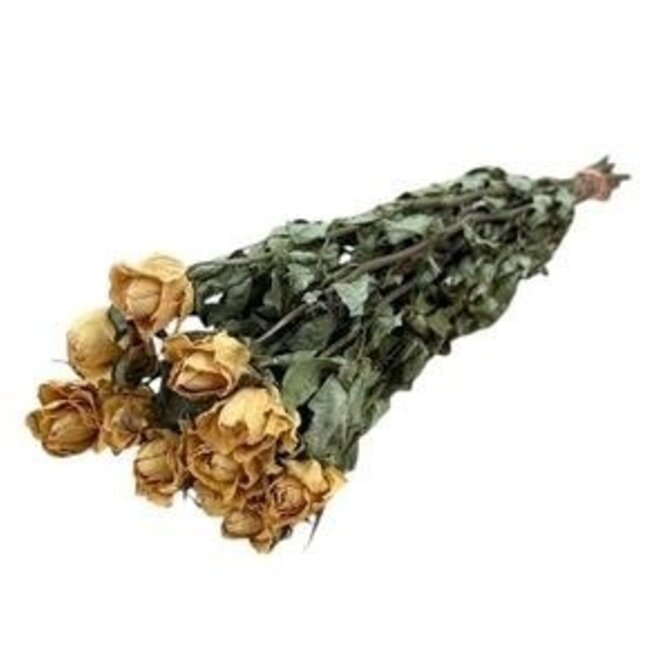Gele gedroogde Rozen | Lengte ± 50 centimeter | Per 10 rozen