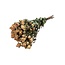 Hellrosa getrocknete Strauchrosen | Spray Rose Trockenblumen | Länge ± 50 Zentimeter | Pro 10 Rosen