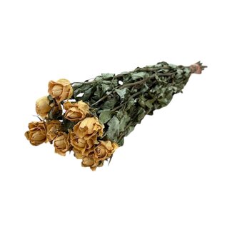 DriedRoses.com Peach Fuzz dried Roses | Length ± 50 centimetres | Per 10 roses
