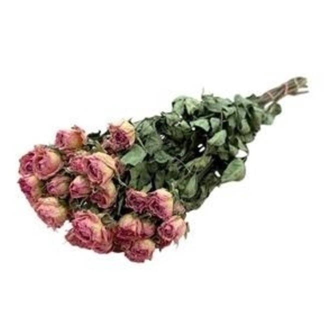 Roses en grappes séchées roses | Fleurs séchées Spray Rose | Longueur ± 50 centimètres | Par 10 roses