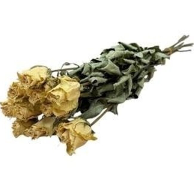 Roses blanches séchées | Longueur ± 50 centimètres | Par 10 roses