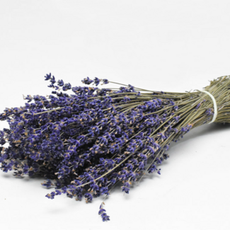 MyFlowers Natürlich violett-blaue Lavendel-Trockenblumen | Länge ± 50 cm | Gewicht ± 100 Gramm