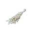 Wit Gebleekte Phalaris droogbloemen | Lengte ± 75 centimeter | Gewicht ± 150 gram