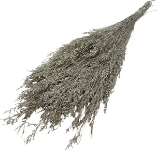 Casa Alegria Goldfarbene Caspia konservierte Blumen | Länge ± 65 Zentimeter | Gewicht ± 100 Gramm