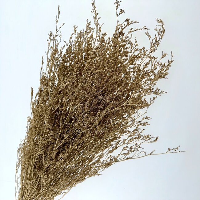 Goudkleurige Caspia gepreserveerde bloemen | Lengte ± 65 centimeter | Gewicht ± 100 gram