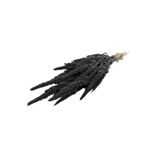 Dutch Dried Donkergrijze Amaranthus Cruentus droogbloemen | Lengte ± 60 centimeter | Gewicht ± 100 gram