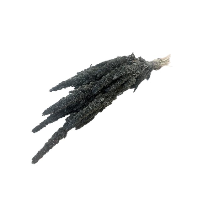 Dark Grey Amaranthus Cruentus Dried Flowers | Length ± 60 centimetres | Weight ± 100 grams