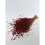 Orange-red Linum - Flax dried flowers | Length ± 55 centimetres | Weight ± 150 grams