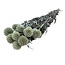 Natural Echinops preserved flowers | Length ± 65 centimetres | Weight ± 350 grams