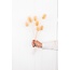 Wit gebleekte Cardistella Distels droogbloemen | Lengte ± 55 centimeter | Per 10 takken