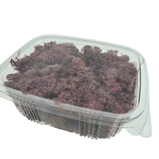 Casa Alegria Pink preserved Reindeer Moss from Iceland | Packed per 150 grams