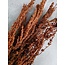 Naturel bruine Palak Stick droogbloemen | Lengte ± 70 centimeter | Gewicht ± 100 gram