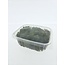 Green preserved Reindeer Moss from Iceland | Packed per 150 grams