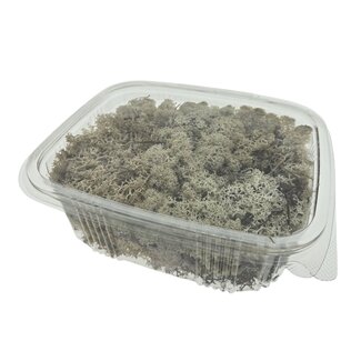 Casa Alegria Naturally preserved Reindeer Moss from Iceland | Packed per 150 grams