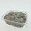 Naturally preserved Reindeer Moss from Iceland | Packaged per 150 grams
