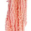 Light Pink Bleached Amaranthus Caudatus - Hanging Amaranth | Preserved Flowers | Length ± 65 centimetres | Weight ± 180 grams