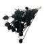 Schwarze Cardistella Disteln Trockenblumen | Länge ± 60 Zentimeter | Pro 10 Stiele