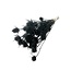 Black Cardistella Thistles dried flowers | Length ± 60 centimetres | Per 10 stems