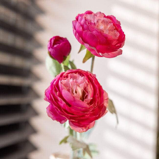 Cyclamen rose Renoncules | Renoncules ou Boutons d'or fleurs artificielles | Longueur ± 50 centimètres | Avec 3 fleurs par tige