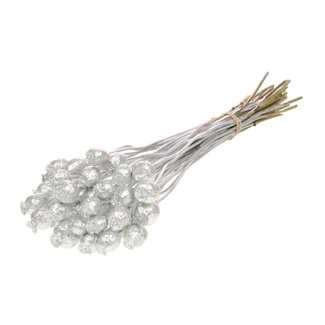 Dutch Dried Zilverkleurige Papaver Somniferum droogbloemen | Lengte ± 65 centimeter | Gewicht ± 200 gram