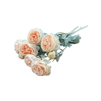 Dutch Dried Champagne-Coloured Ranunculus | Ranunculus or Buttercup Artificial Flowers | Length ± 50 centimetres | With 3 flowers per stem