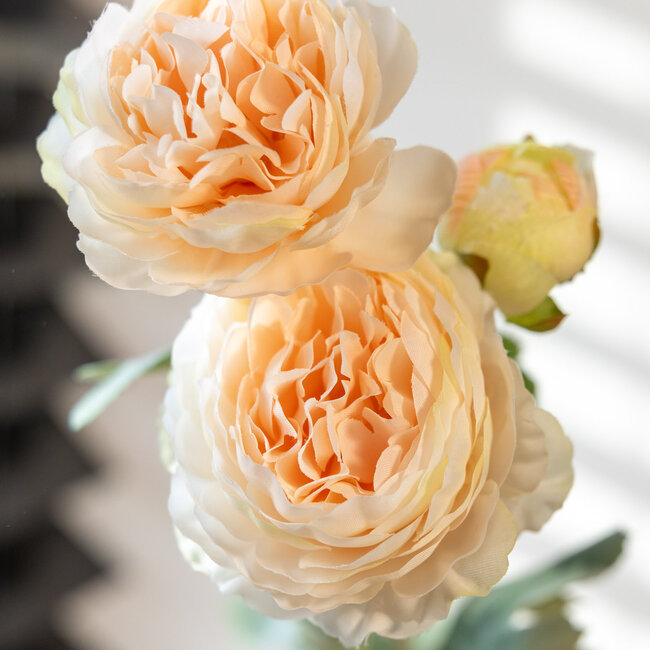 Champagnerfarbene Ranunkeln | Ranunculus oder Butterblumen Kunstblumen | Länge ± 50 Zentimeter | Mit 3 Blumen pro Stiel