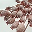 Pink Papaver Somniferum dried flowers | Length ± 65 centimetres | Weight ± 200 grams