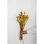 Gele Papaver Somniferum droogbloemen | Lengte ± 65 centimeter | Gewicht ± 200 gram