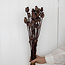 Pavot Somniferum brun fleurs séchées | Longueur ± 65 centimètres | Poids ± 200 grammes