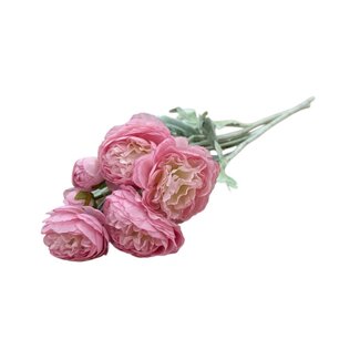 Dutch Dried Renoncules Roses | Renoncules ou Boutons d'or fleurs artificielles | Longueur ± 50 centimètres | Avec 3 fleurs par tige