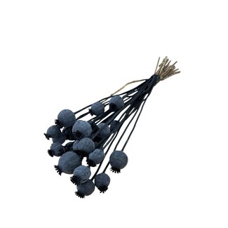 Dutch Dried Black Papaver Somniferum dried flowers | Length ± 65 centimetres | Weight ± 200 grams
