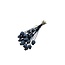 Black Papaver Somniferum dried flowers | Length ± 65 centimetres | Weight ± 200 grams
