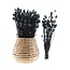 Black Papaver Somniferum dried flowers | Length ± 65 centimetres | Weight ± 200 grams