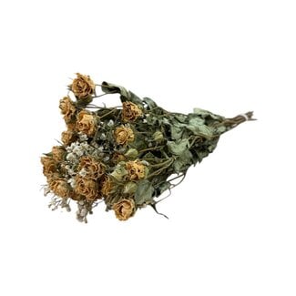 MyFlowers Strauß mit 8 weißen Sprayrosen und 2 Zweigen weißem natürlichem Schleierkraut | Länge ± 50 Zentimeter