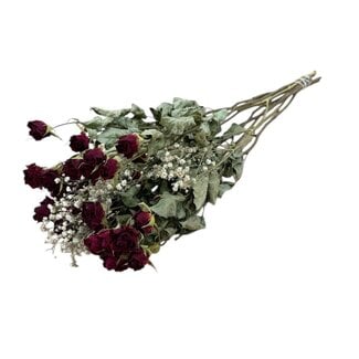 MyFlowers Sträußchen mit 8 roten Sprayrosen und 2 Zweigen weißem natürlichem Schleierkraut | Länge ± 50 Zentimeter