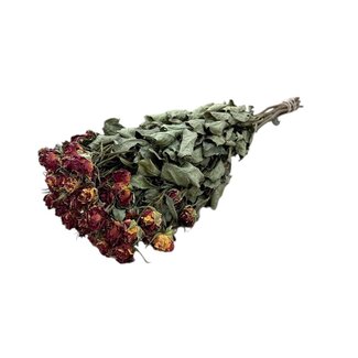Dutch Dried Natürlich rot-rosa-weiß getrocknete Bündelrosen | Spray Rose Trockenblumen | Länge ± 50 Zentimeter | Pro 10 Rosen