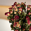 Naturel rood-roze-wit gedroogde Trosrozen | Spray Rose droogbloemen | Lengte ± 50 centimeter | Per 10 rozen