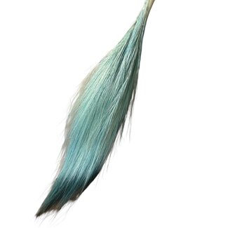 Dutch Dried Light blue Barba de Bode dried flowers | Length ± 55 centimetres | Weight ± 50 grams