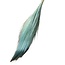 Light blue Barba de Bode dried flowers | Length ± 55 centimetres | Weight ± 50 grams