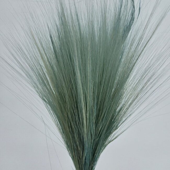 Lichtblauwe Barba de Bode droogbloemen | Lengte ± 55 centimeter | Gewicht ± 50 gram