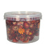 Köpfe Rotes Helichrysum - Strohblumen | In wiederverschließbarem Eimer | Gewicht ± 100 Gramm