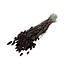 Bruine Phalaris droogbloemen | Lengte ± 65 centimeter | Gewicht ± 150 gram
