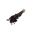 Brown Phalaris dried flowers | Length ± 65 centimetres | Weight ± 150 grams
