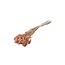 Salmon-coloured Phalaris dried flowers | Length ± 65 centimetres | Weight ± 150 grams