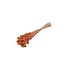 Orange Phalaris Naranja dried flowers | Length ± 65 centimetres | Weight ± 150 grams