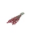 Pink Phalaris dried flowers | Length ± 65 centimetres | Weight ± 150 grams