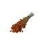 Orange Phalaris dried flowers | Length ± 65 centimetres | Weight ± 150 grams